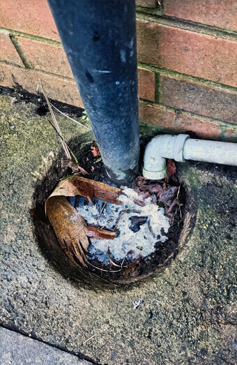 https://plumbercanningvale.com.au/uploads/2025/06/blocked-drains-294506.jpg